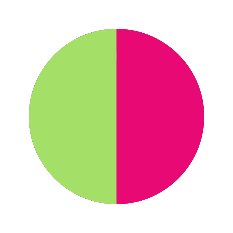 rond-anis-et-fuchsia